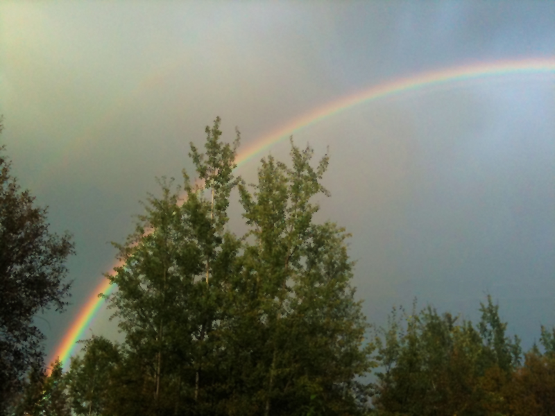 iRainbow