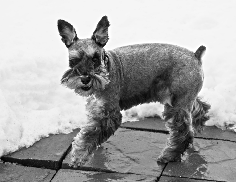 Playing rough