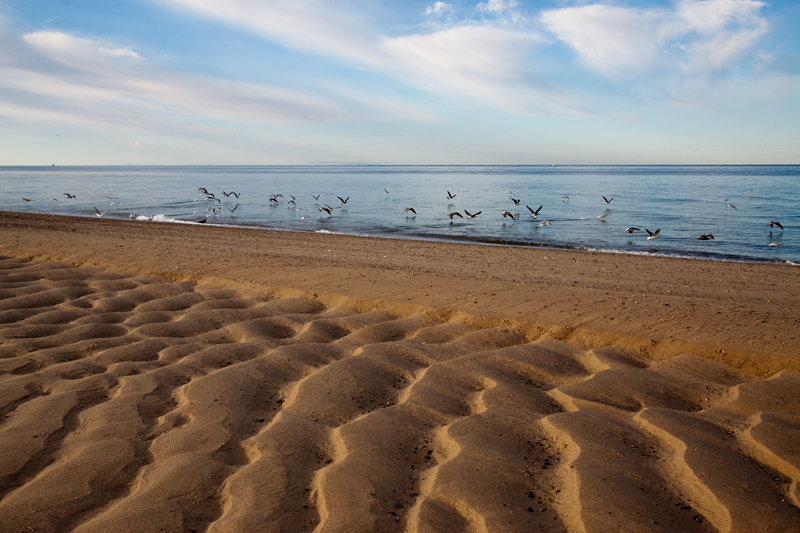 Lines in the sands