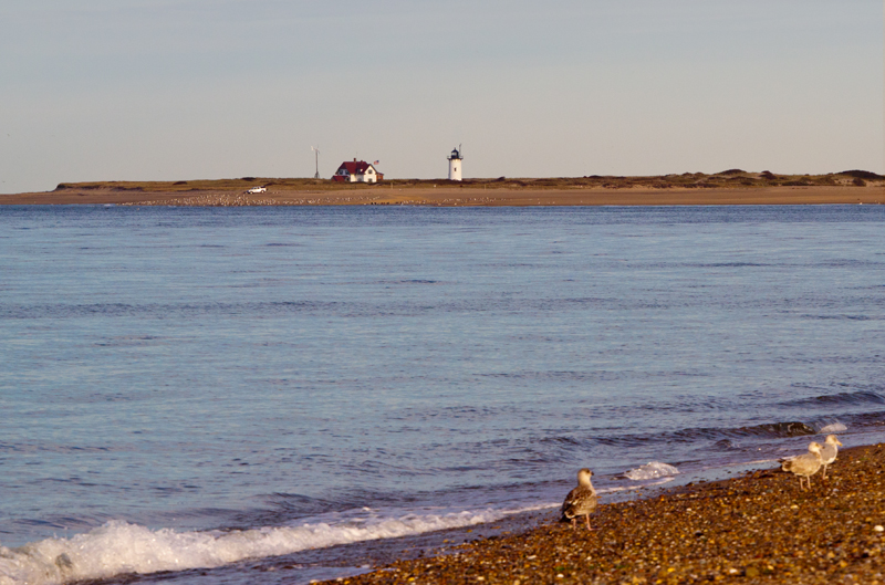  lighthouse in the distance