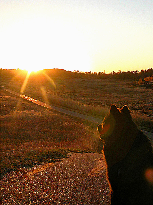 Sunrise.jpg
