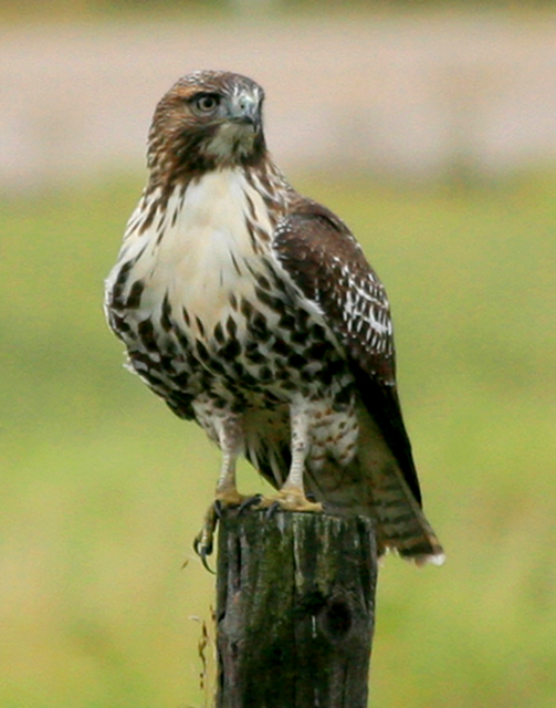 Time to rest and check out this guy with the camera