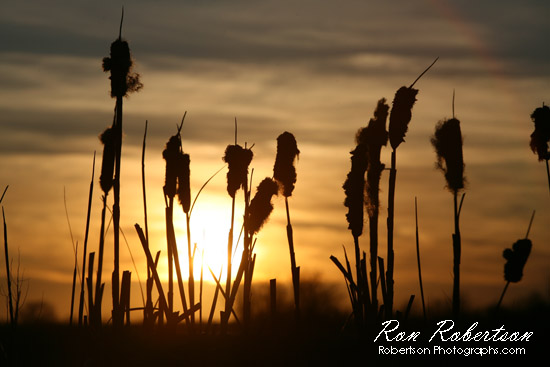Sunset in Alberta