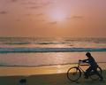 Cyclist in Beach