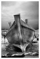 Beached