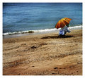 The Clam Digger