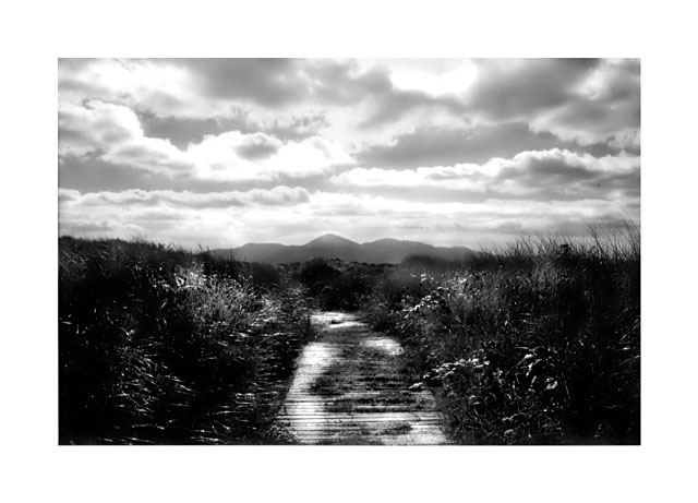 The Illuminated Path