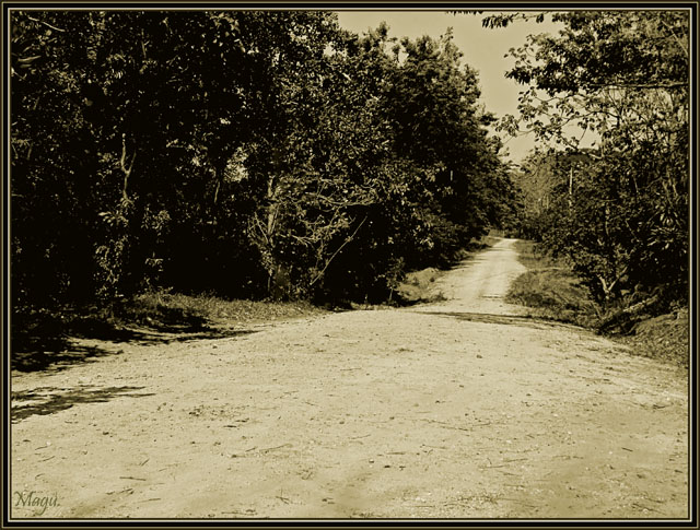Old Road