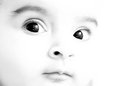 Noor