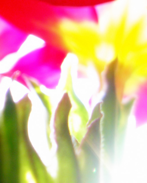 mix 026_filtered.jpg