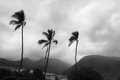 Storm Over the Mountains