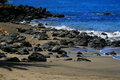 Rocky Shoreline