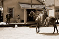 Side Saddle