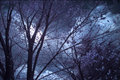 Infrared Spring