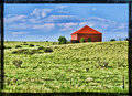 Little Red House