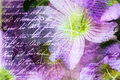 To Lady Ann