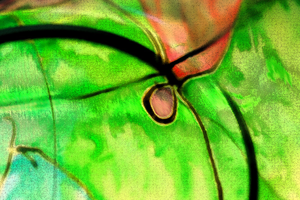 Verdant
