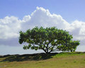 Kihea Beach Park