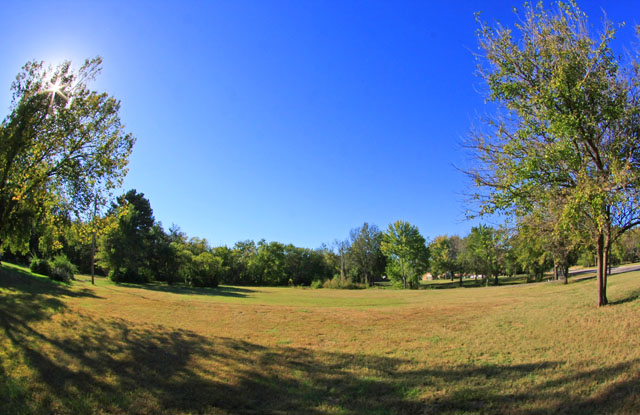 IMG_0259field640.jpg