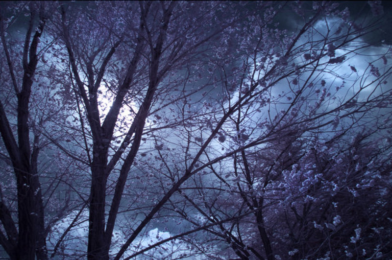 Infrared Spring