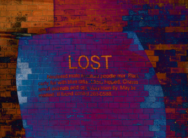 Desperately Seeking