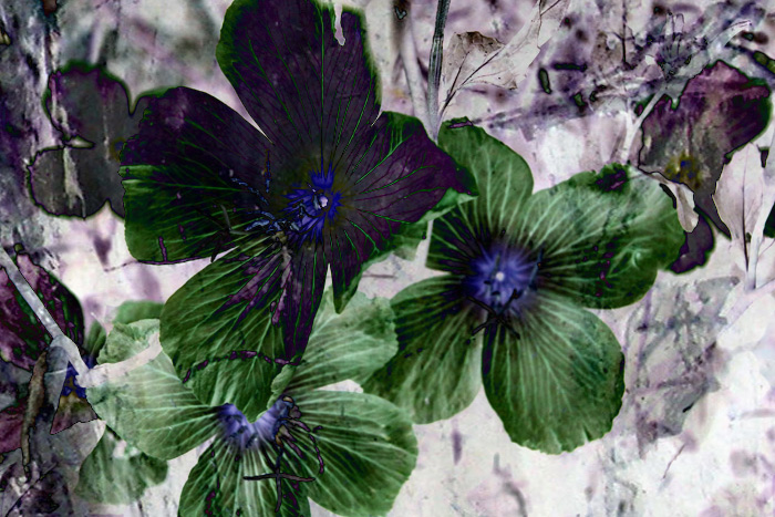 Green Indifference