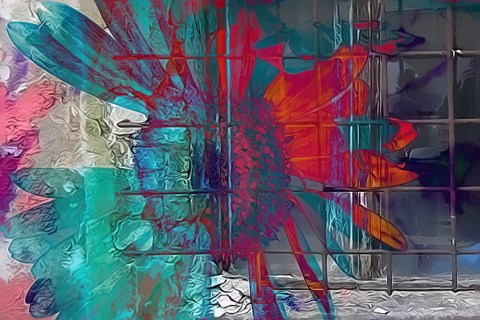 Breaking Free