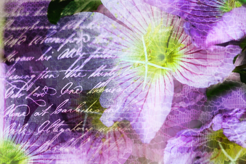 To Lady Ann