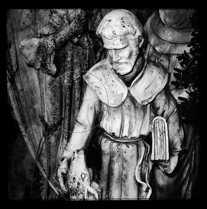 St Francis BW