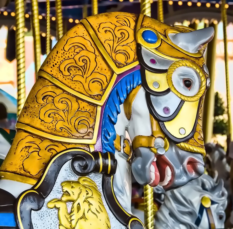 DSC_0008-Carousel.jpg