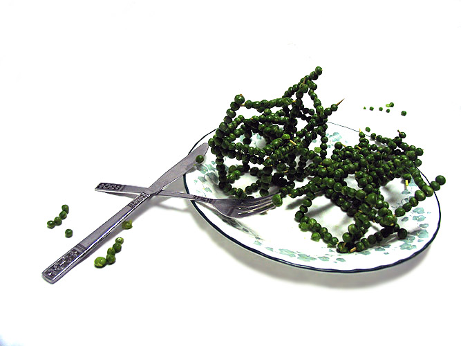 PEA.jpg