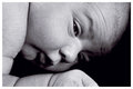 2732_4x6bw.jpg