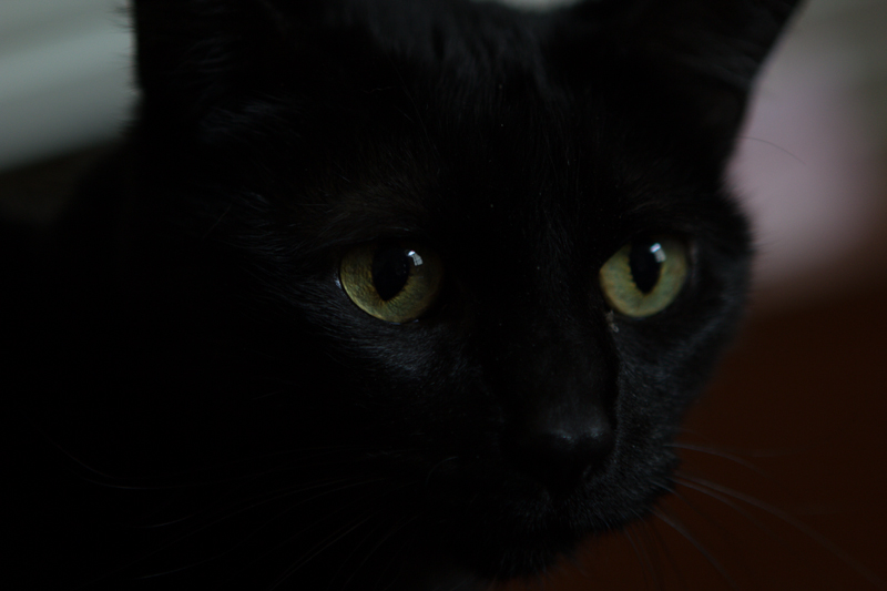 Shadow Unedited