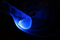 _MG_0836forweb.jpg