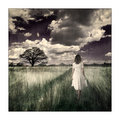 Dreamscape