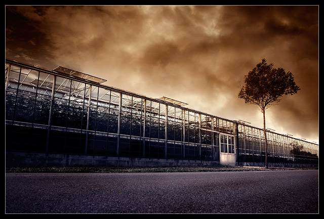 Greenhouse Effect