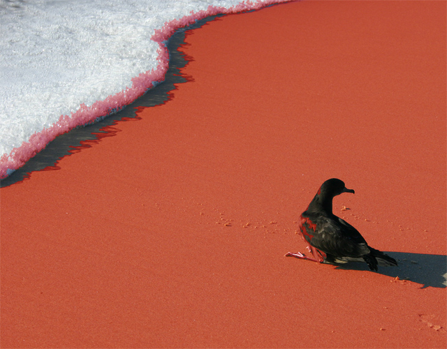 red-sand