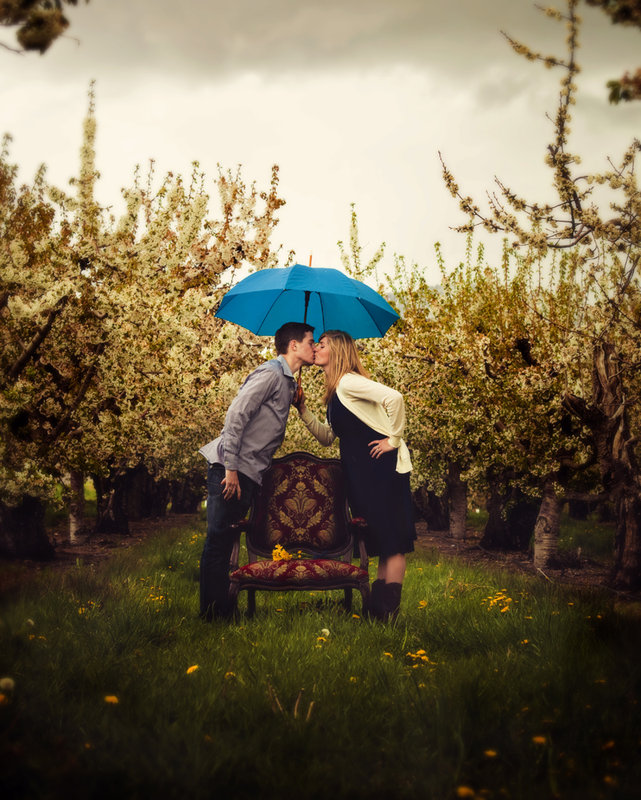 Orchards in the Rain