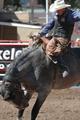 RODEO 0070