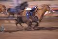 RODEO 0108