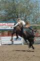 RODEO 0200