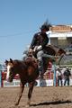 RODEO 0309