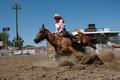 RODEO 0373