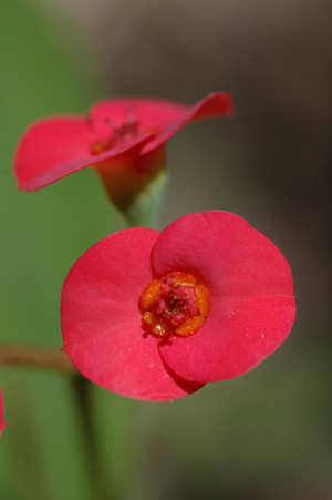 DSC_0305.jpg