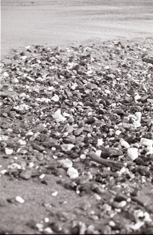 rocks on beach.jpg