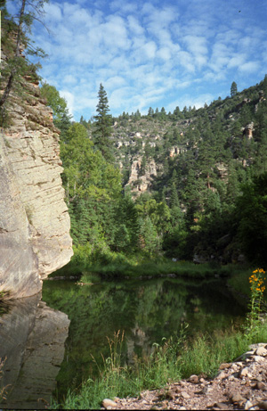 west cl crk 01.jpg