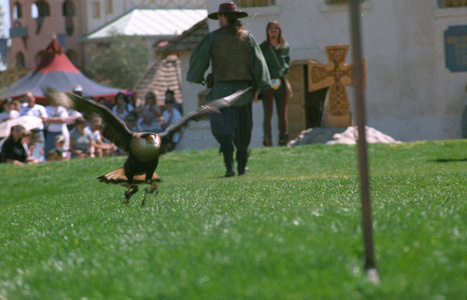 hawk ren fest 01