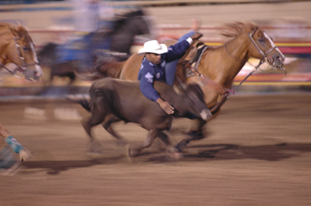 RODEO 0108