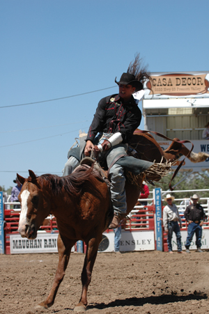RODEO 0309