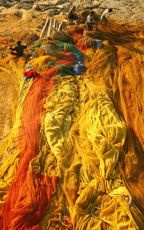 colour.jpg